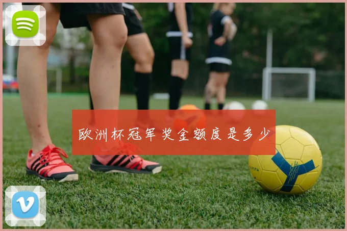 欧洲杯冠军奖金额度是多少