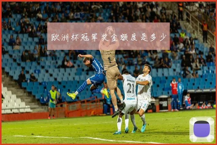 欧洲杯冠军奖金额度是多少